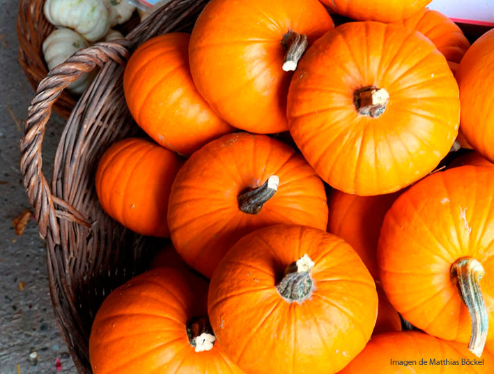 Beneficios de la calabaza